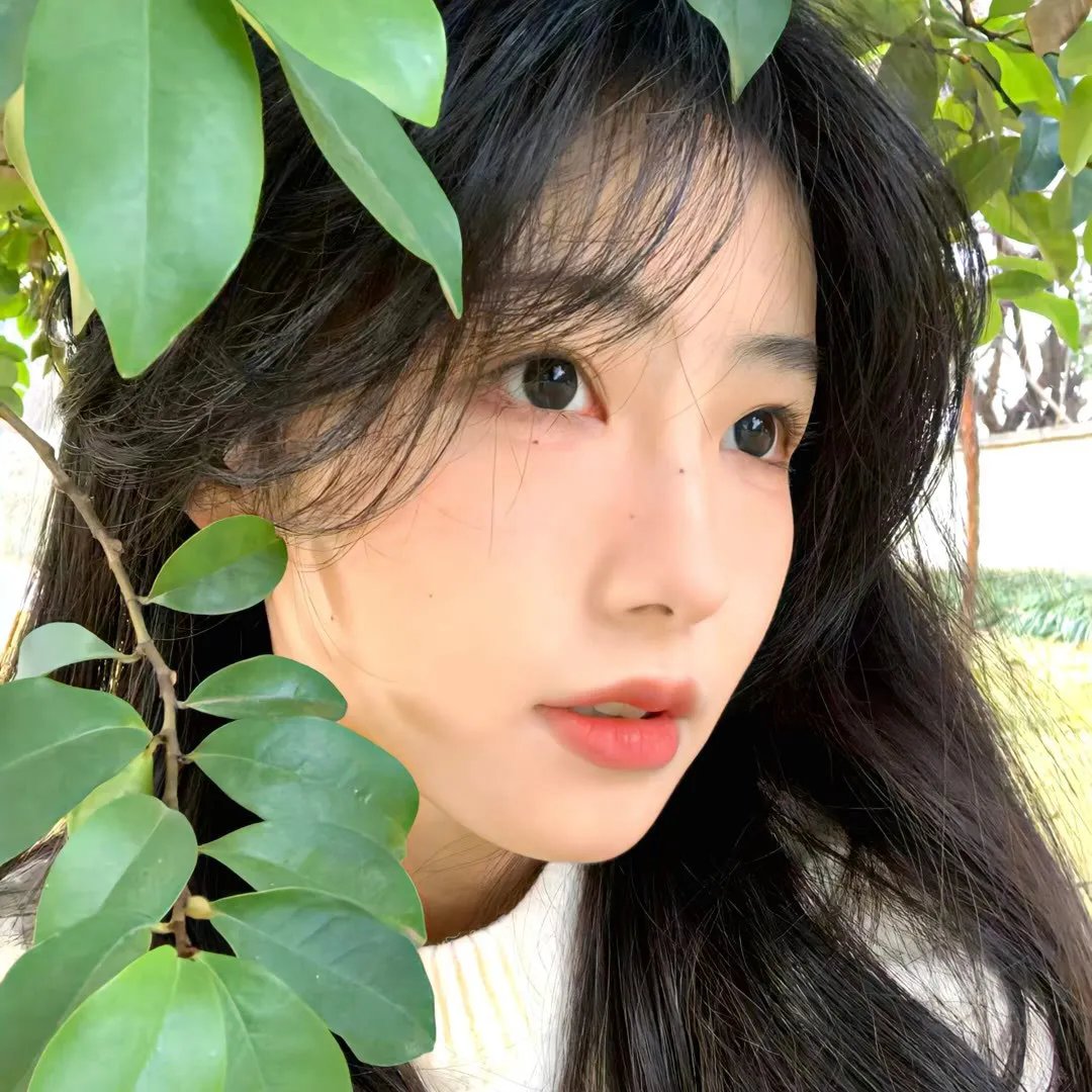白日梦与她