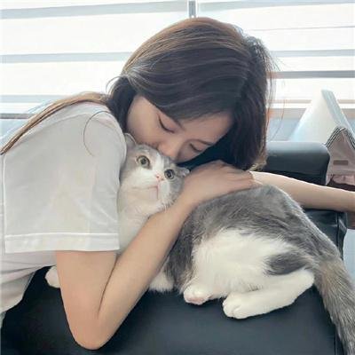 联邦调查局第二季